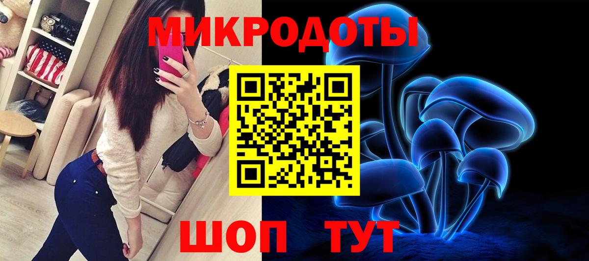 Псилоцибиновые грибы Psilocybine cubensis Петропавловск-Камчатский