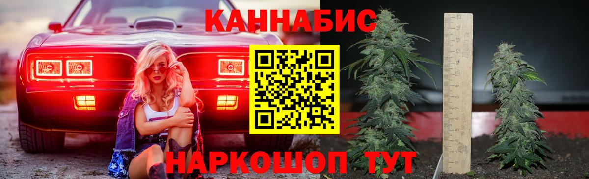 Бошки марихуана AK-47  Конопля White Widow  МАРИХУАНА MAZAR  Петропавловск-Камчатский  Вход с VPN  Бошки марихуана план 